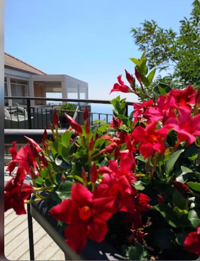 Santangelo Hotel マッティナータ エクステリア 写真